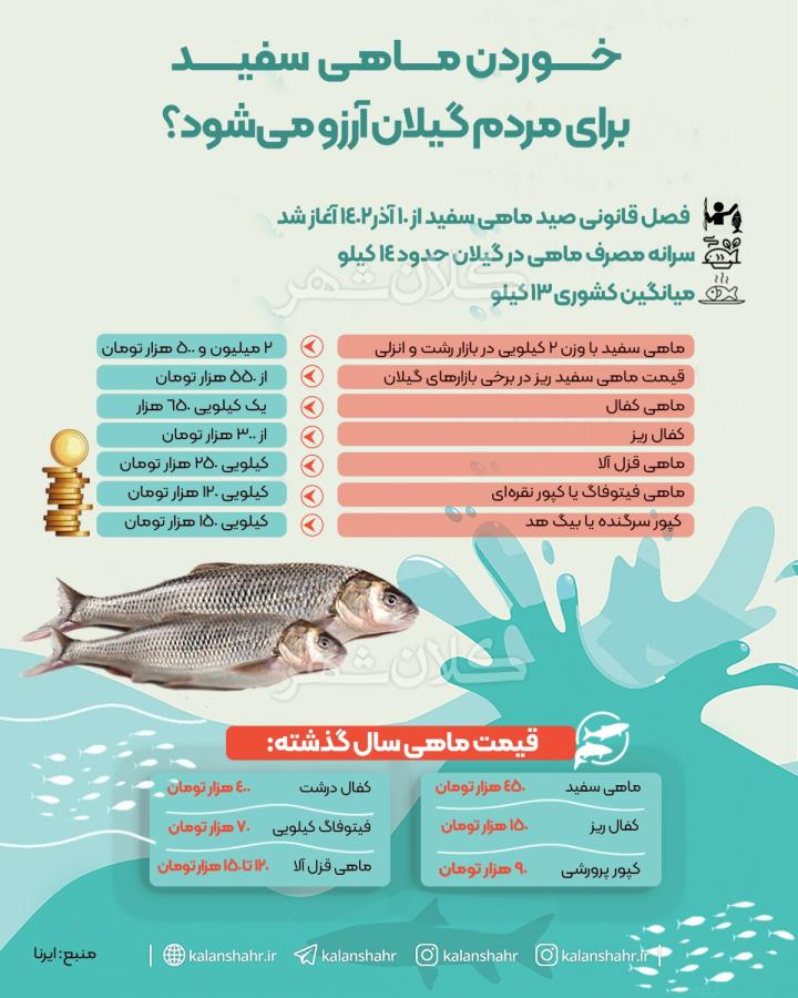 خوردن ماهی سفید برای مردم گیلان آرزو می شود؟
