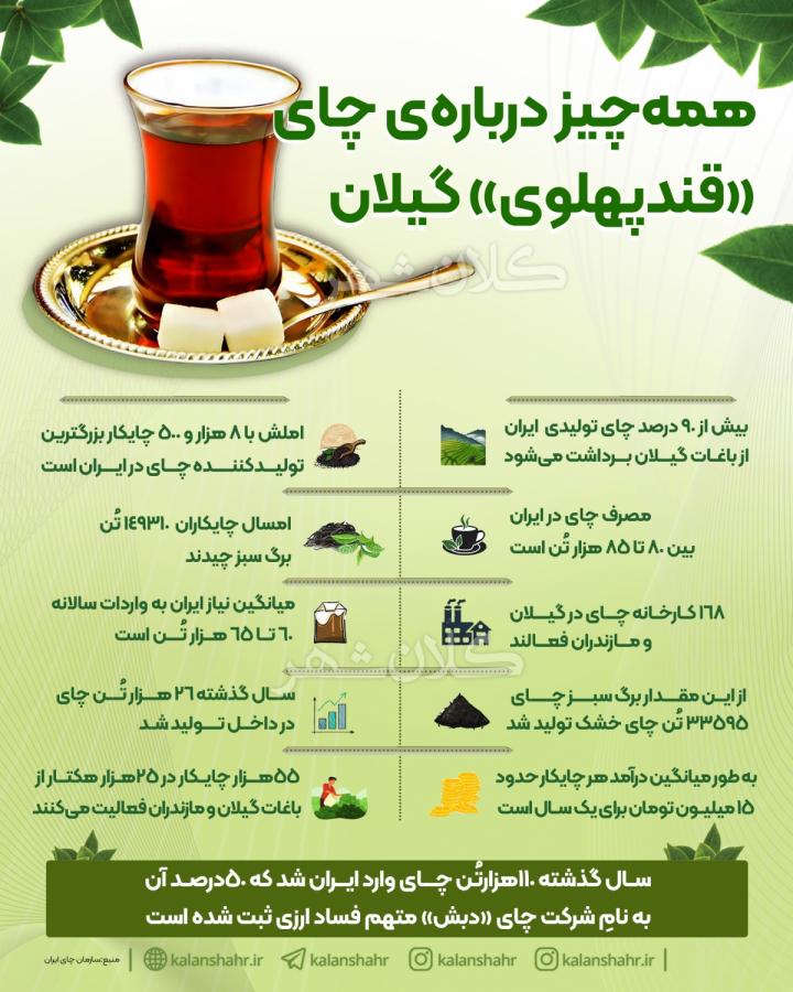 همه چیز درباره ی چای «قندپهلوی» گیلان