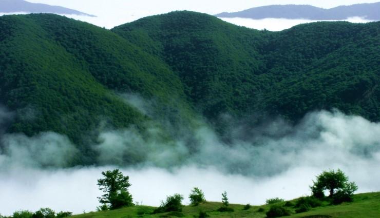 تایید ثبت «روز ملی جنگل و کوهستان» در تقویم رسمی ایران