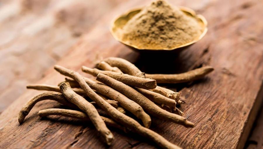 از این گیاه برای درمان استرس استفاده کنید