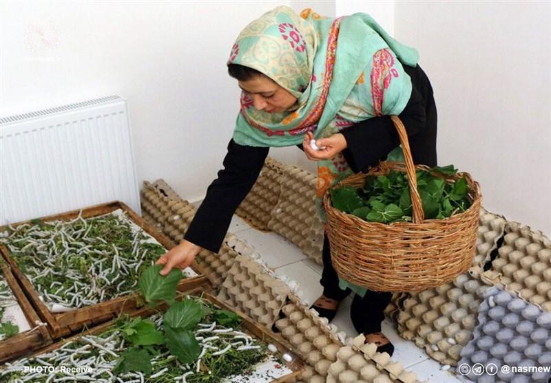 ۸۰ درصد اشتغال خانگی در دست زنان!