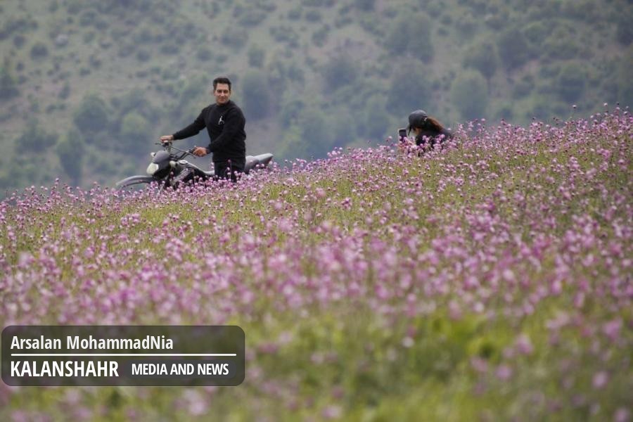 با دستور قضایی ورود گردشگران به مناطق بکر رودبار ممنوع شد