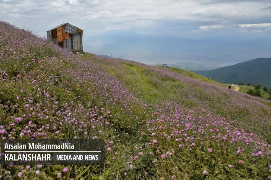 گزارش تصویری؛سلانسر رودبار زیبایی اعجاب انگیز بین زمین و آسمان