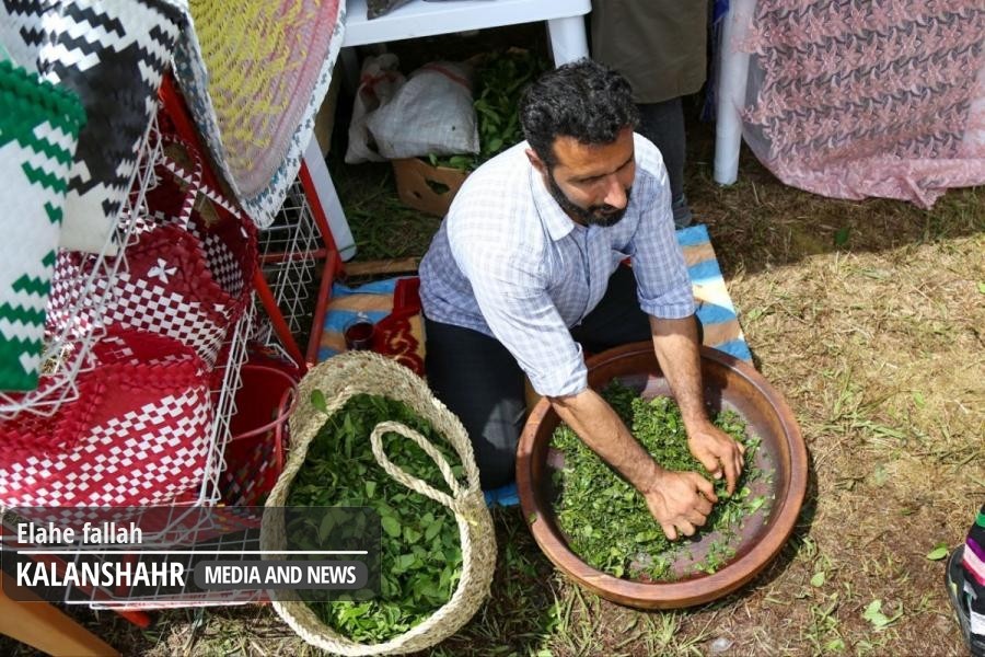 شما طرفدار چای ایرانی هستید یا چای خارجی ؟/چرا ایرانی ها به چای خارجی اعتقاد ندارند؟