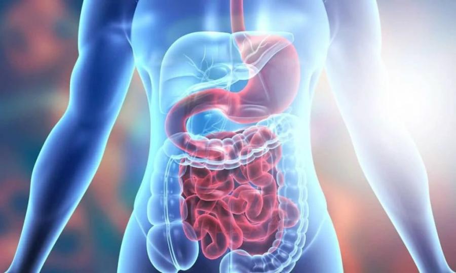 آهسته خوردن غذا چه تاثیری بر دستگاه گوارش دارد؟
