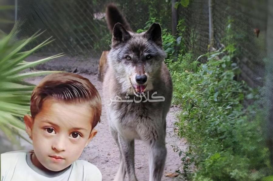 مرگ هولناک پسر ۷ ساله با حمله گله گُرگاس