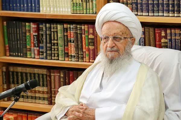 آیت الله مکارم شیرازی: کسب درآمد از همستر کامبت جایز نیست