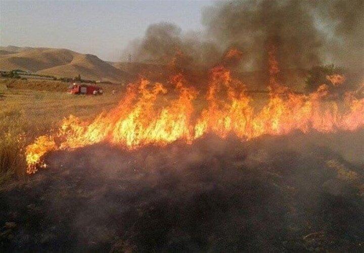 پرت کردن ته سیگار در کنار جاده ۴ هکتار از مراتع را سوزاند