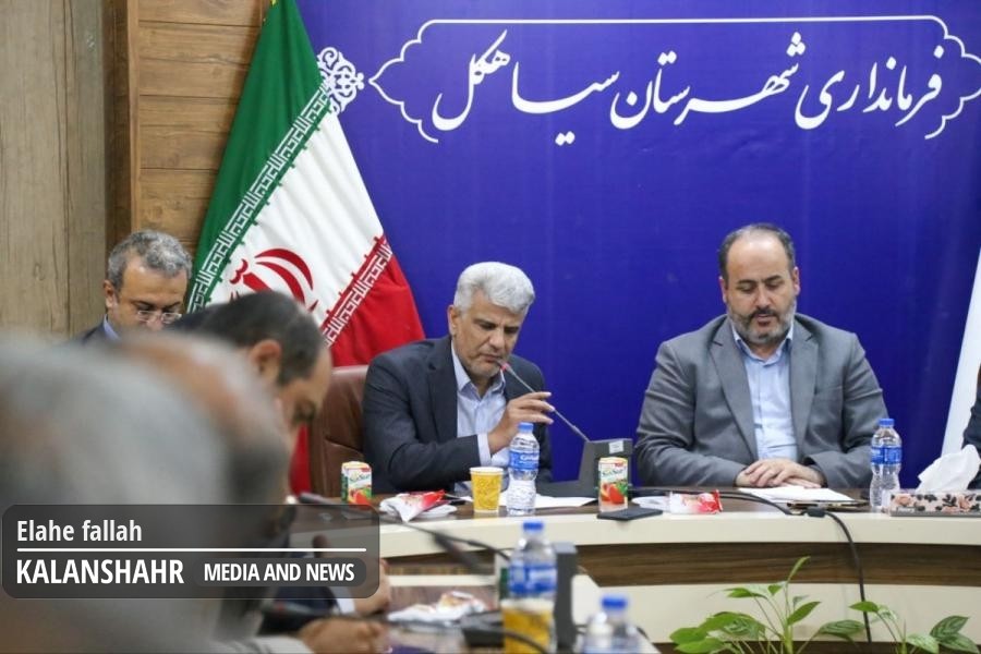 ولی جهانی