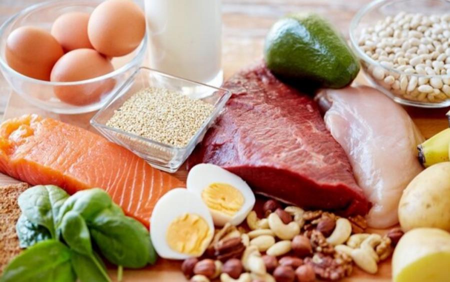 چرا پروتئین ماده ای ضروری برای بدن است؟