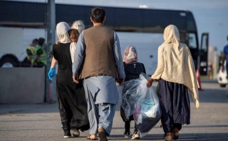 وزارت کشور: ورود بیش از یک میلیون تبعه افغانستانی به ایران در شش ماهه اول ۲۰۲۴