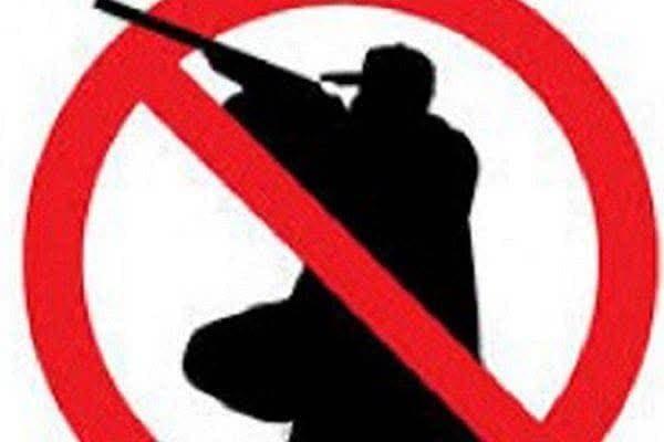 خطر شیوع آنفلوآنزا تمام مجوزهای شکار را لغو کرد