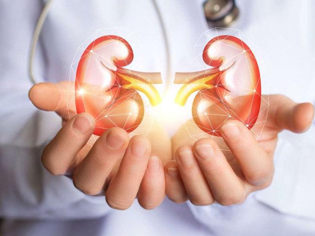 بهترین رژیم غذایی برای بیماری کلیوی
