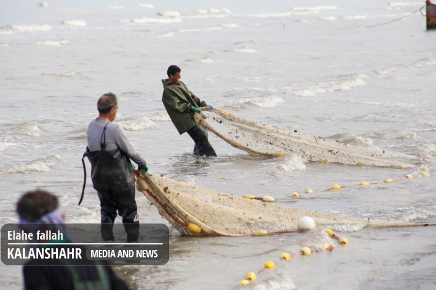 گزارش تصویری؛ قهر ماهی با صیادان بندر انزلی؛دریای کاسپین این روزها ماهی ندارد