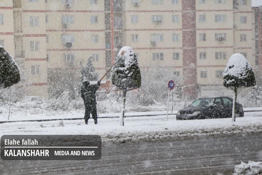 به دلیل سرما و مدیریت مصرف انرژی؛ فردا چهارشنبه ۲۱ استان در ایران تعطیل شد
