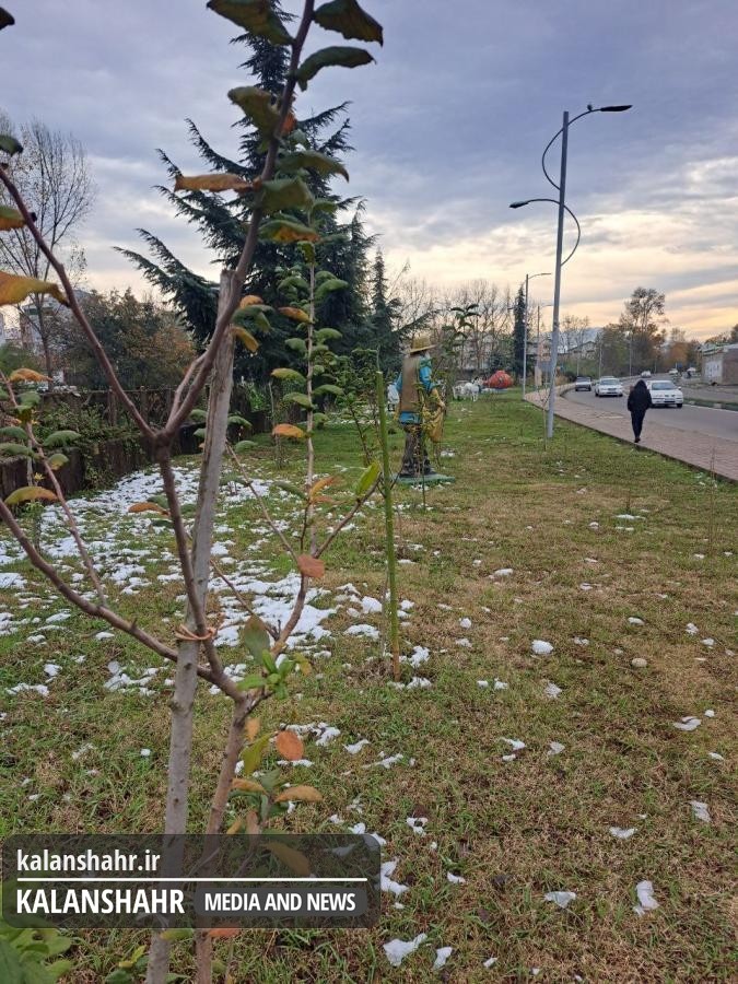 کونوس خیابان جوان رشت