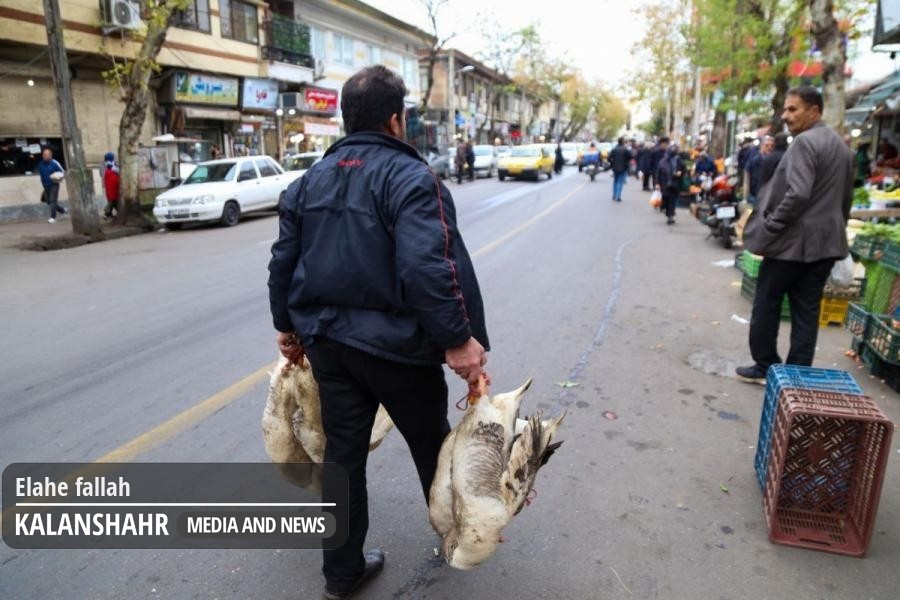 گیلان چاق ترین استان ایران؛روزی ۲۵نفر ایست قلبی می کنند و ۱۷نفر درگیر سرطان می شوند