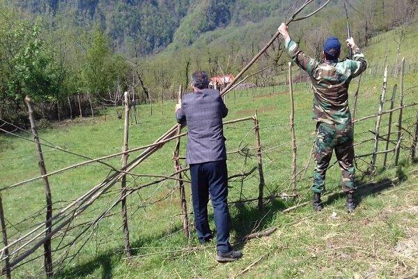 رفع تصرف زمین ملی میلیاردی در لنگرود