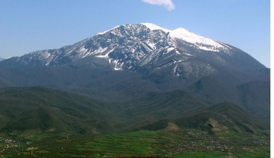 درفک (4)