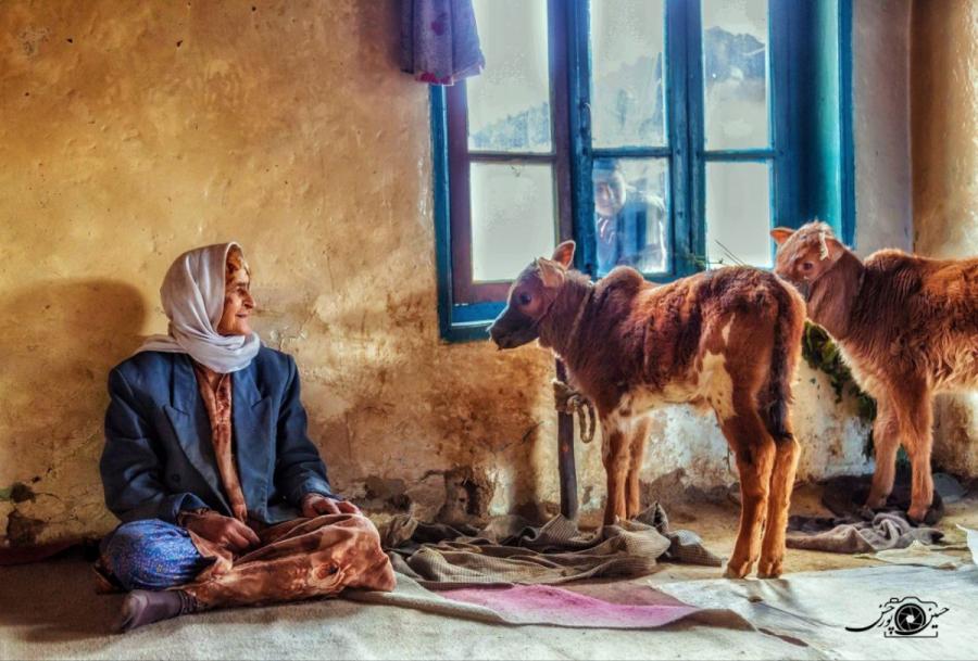 بررسی پدیدارشناختی مفهوم جنسیت در میانه­ ی سنتِ فرهنگی «ورزا جنگ»