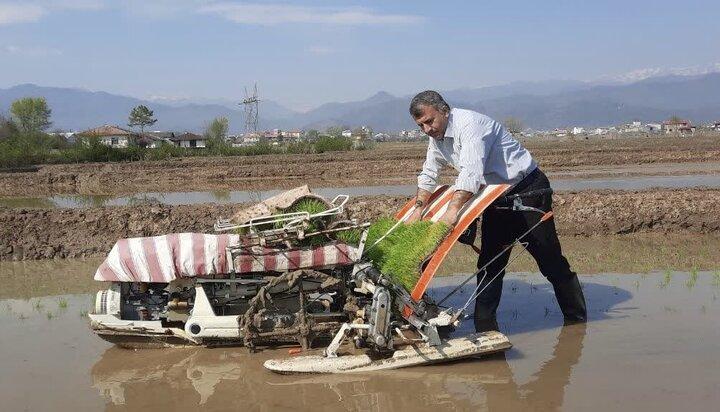 نخستین کشت نشاء مکانیزه برنج در تالش انجام شد