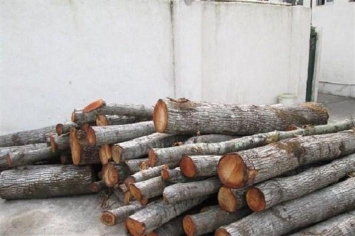 کشف ۱۰ تن چوب جنگلی قاچاق در شفت