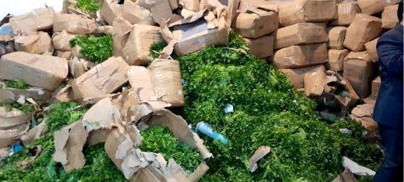 جاسازی ۳۷۵ کیلو مخدرِ «گُل» لابلای سبزی‌های صادراتی گمرک آستارا