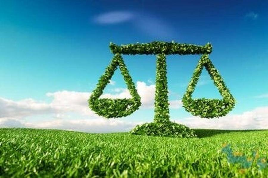 محکومیت ۴ متخلف شکار و صید در آستانه اشرفیه به خدمات محیط زیستیِ جایگزین حبس
