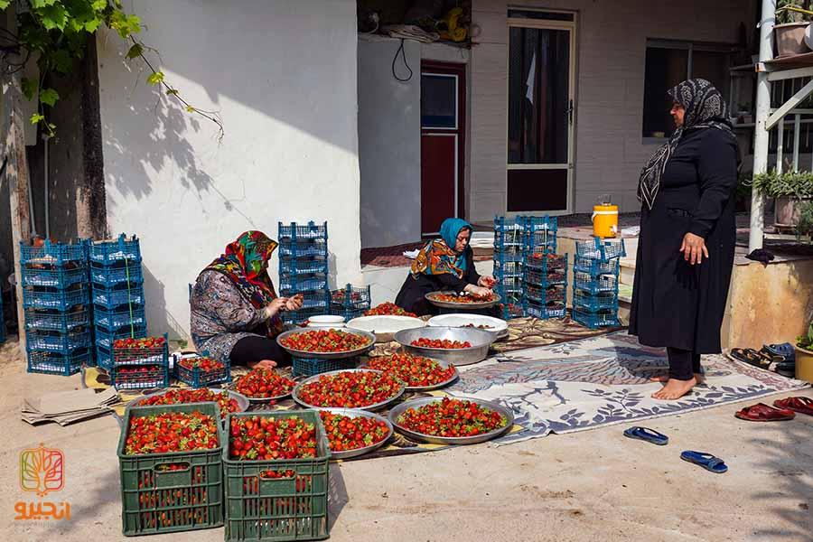  جزئیات پرداخت وام مشاغل خانگی + مبلغ وام