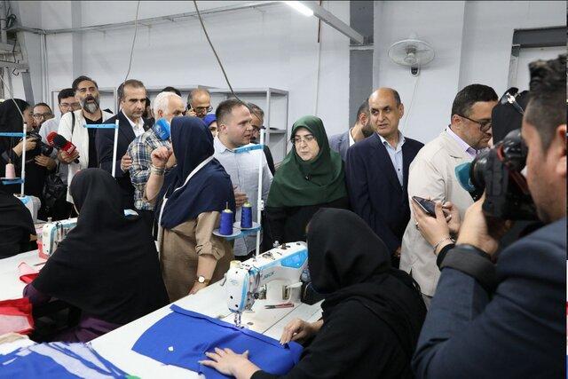 بازدید سخنگوی دولت از ۲ مجتمع تولیدی در بندرانزلی