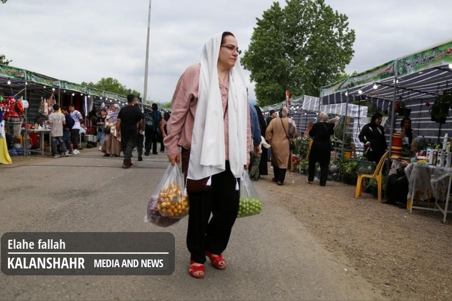 گزارش تصویری؛چهارمین جشنواره ملی «آلوچه» در گوراب زرمیخ صومعه سرا