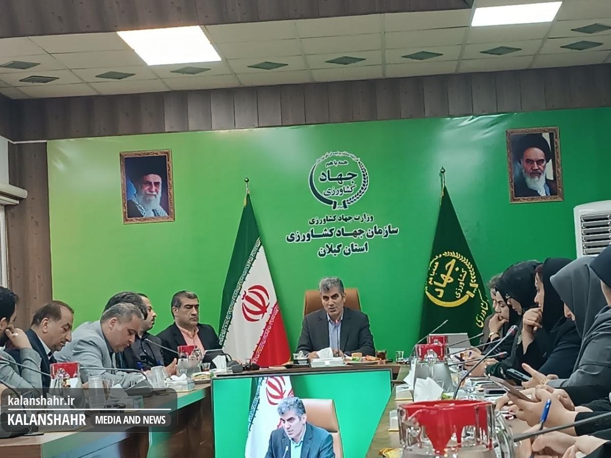  ۲۷ درصد برنج گیلان برداشت شد/لزوم نوسازی شالیکوبی های سنتی برای جلوگیری از زیان کشاورزان