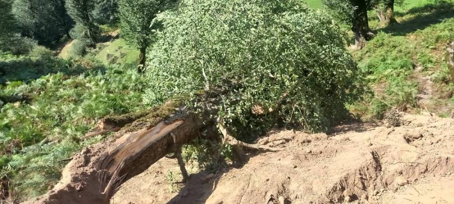 جاده ییلاقی سیاهمزگی گشت رودخان شفت