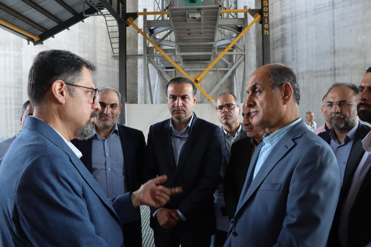 هادی حق شناس