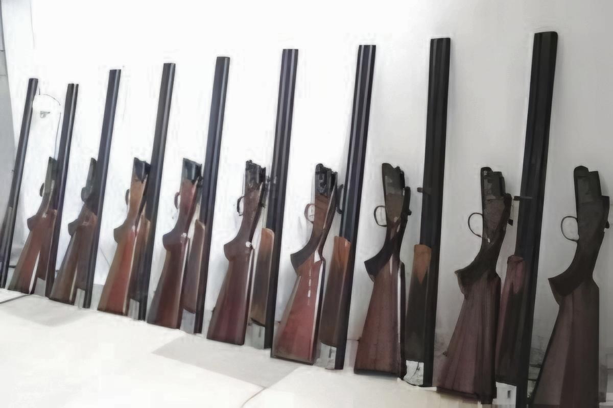 کشف ۱۰ قبضه اسلحه شکاری از شکارچیان متخلف در آستارا