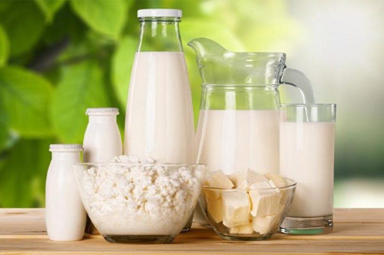 ردپای «لبنیات» در افزایش بار بیماری استخوان شکن