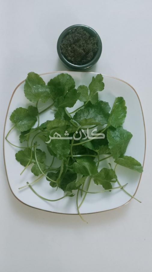 چوچاق و درار فاسیولا چوچاق و درار فاسیولا