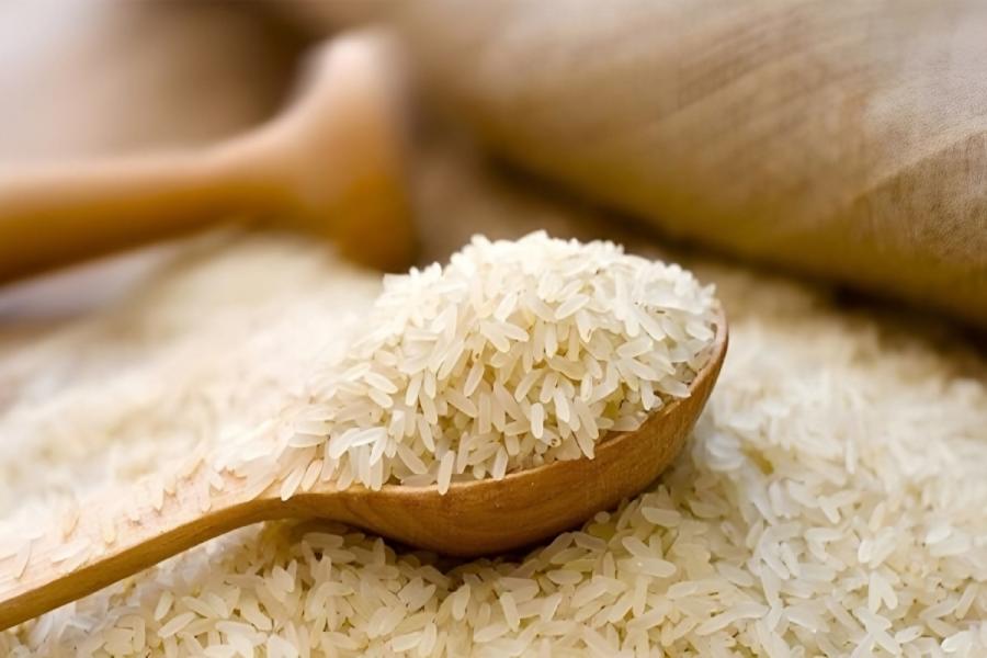 معرفی رقم جدید برنج با کیفیت پخت بالا؛ تلاقی خزر و دم سیاه!