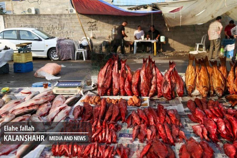 گیلان، پیشتاز آمار بوتولیسم؛ نقش اَشپَل، پنیر، فرآورده های دریایی و خانگی در مسمومیت مرگبار