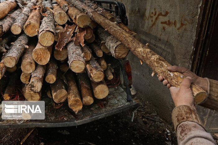 کشف ۱۸ تن چوب قاچاق در فومن
