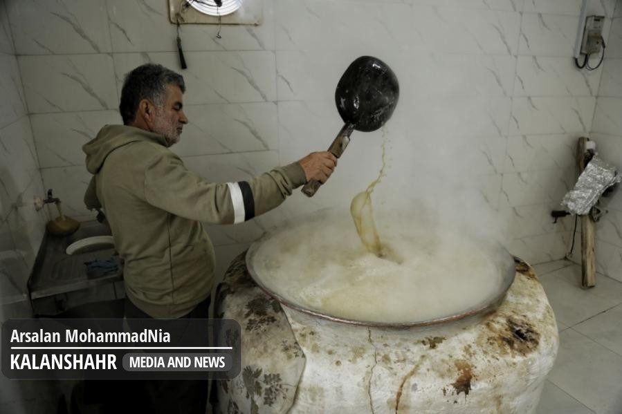 گزارش تصویری؛از شالیزار تا شکرلوله؛ روایت نیشکرکاری و تبدیل به «سیاه شکر» در روستای قاضده ی صومعه سرا گزارش تصویری؛از شالیزار تا شکرلوله؛ روایت نیشکرکاری و تبدیل به «سیاه شکر» در روستای قاضده ی صومعه سرا