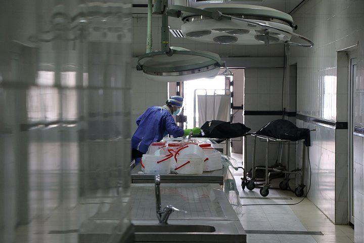 چرا ۱۲ هزار جانباخته در اغتشاشات اخیر صحت ندارد