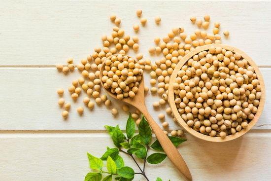 احتیاط هایی درباره مصرف سویا که باید بدانیم