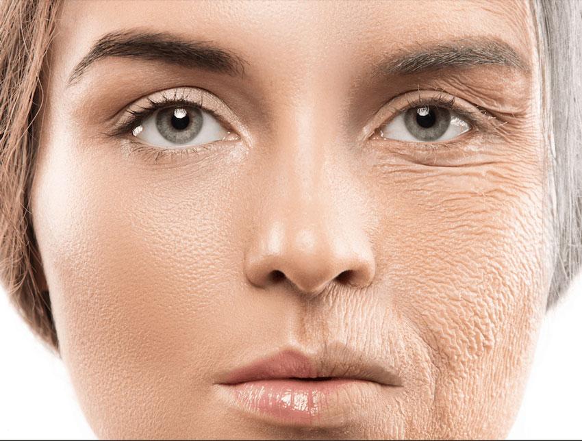 چگونه با افزایش سن از «پروتئین نگهدارنده بدن» مراقبت کنیم؟