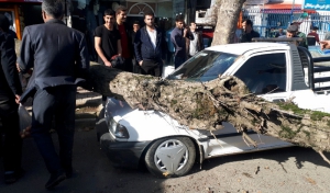 خسارت باد گرم در چند شهر گیلان