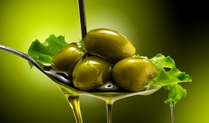تولید زیتون و روغن زیتون باکیفیت در رودبار