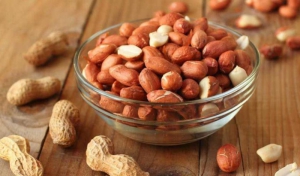 قیمت آجیل و افزایش تولید بادام زمینی گیلان