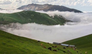 مراتع؛ مرکز ثقل فعالیت های آبخیزداری در گیلان