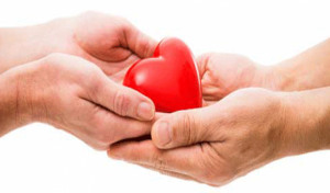 اهدای عضو ۲۰ بیمار مرگ مغزی در گیلان