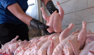 عرضه گوشت مرغ دولتی در کنار بازار آزاد چند نرخی!